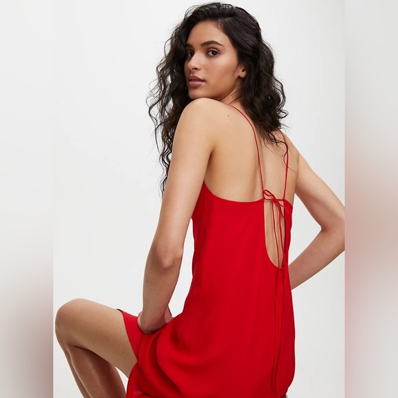 Aritzia Mid dress - Picture 5 of 5